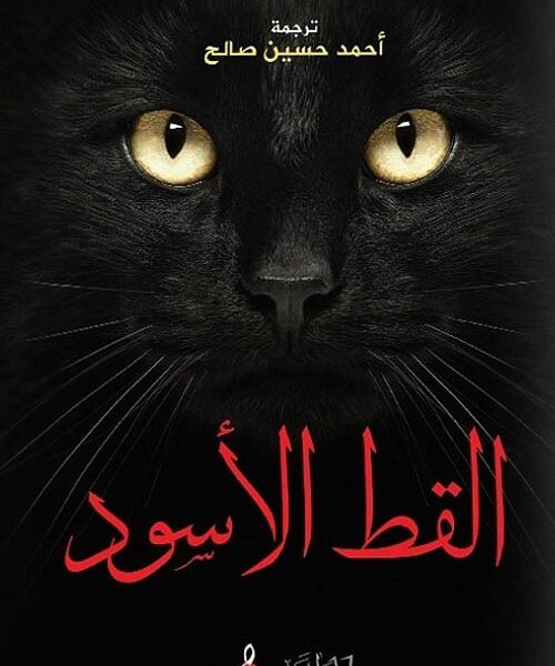 القط الاسود وحكايات اخري